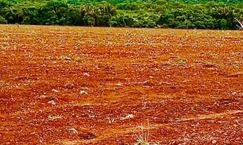 Imagem 2: Fazenda com 116 ha a venda proximo a Iporá - GO