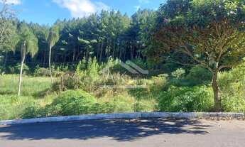 Imagem 2: Terreno com vista, à venda, no Centro de Picada Café, na Serra Gaúcha