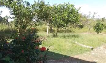 Imagem 2: SÍTIO Salinopolis 200 metros pista, 10 minutos praia Atalaia