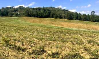 Imagem 5: Oportunidade de Ouro! Terreno 500m² em Caucaia do Alto, Cotia!