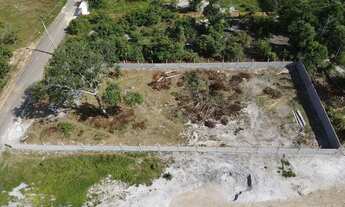 Imagem 5: Vendo lote murado no Janauary 1