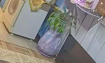 Imagem 12: Casa Casa com 2 dormitórios