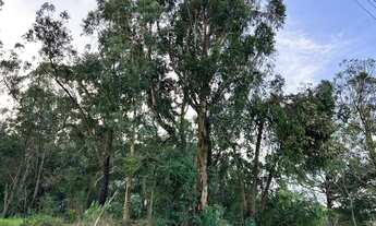 Imagem 6: Vendo terreno na Av Liberdade