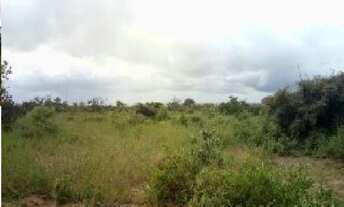 Imagem 3: Fazenda entre Biritinga - Satiro Dias