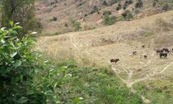 Imagem 3: Fazenda minas divisa com espírito santo