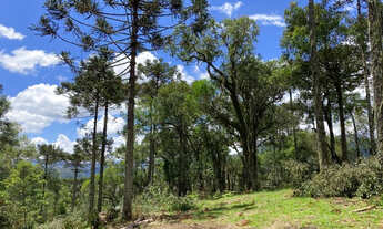 Imagem: Sitio em Urubici/chácara em Urubici