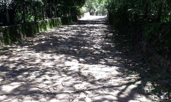 Imagem 2: Sítio para vender em Triunfo PE