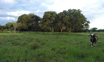 Imagem 4: Chacara próxima ao balneário Lagoa Rica e aeroporto Santa Maria
