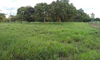 Imagem 6: Chacara próxima ao balneário Lagoa Rica e aeroporto Santa Maria
