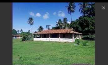 Imagem 6: VENDO ILHA EM PIAÇABUÇU