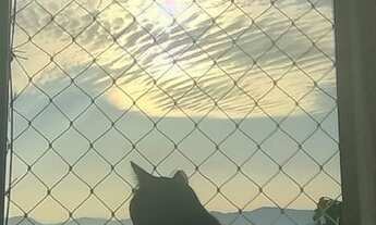 Imagem 3: Quarto para Alugar - Estreito (Para Mulher