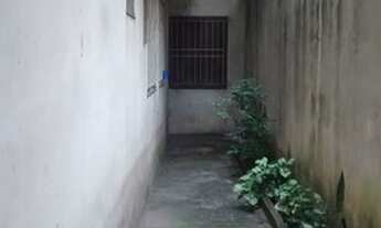 Imagem 2: CASA ASSOBRADADA - BUTANTÃ - SP