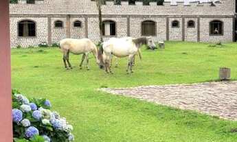 Imagem 2: Linda fazenda com aptidão para hotelaria próximo a Curitiba/PR