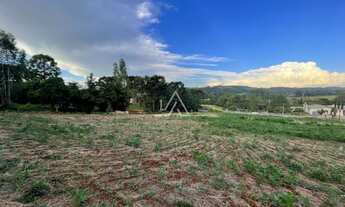 Imagem 4: TERRENO RS 324 - 1 HA