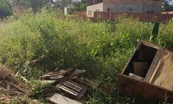 Imagem: Lote setor rosa dos ventos de esquina 449