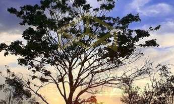 Imagem 7: Terreno - Mato Dentro - Mairiporã