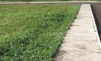 Imagem 2: Terreno Residencial à venda, Orfãs, Ponta Grossa -