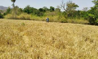 Imagem: Fazenda de Soja