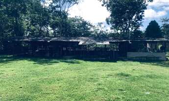 Imagem: Vendo sítio Benevides