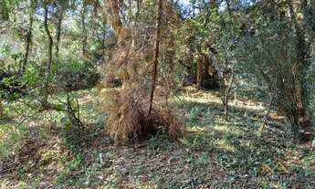 Imagem 3: Terreno à venda, 1000 m² por R$ 1.100.000,00 - São Paulo II - Cotia/SP