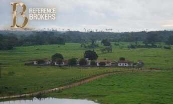 Imagem 4: Excelente fazenda pecuária com 149 mil hectares em Rondolândia MT