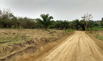 Imagem 6: Terra com escritura 30.000m²