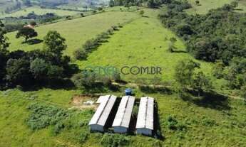 Imagem 4: Ótima fazendinha de 15 ha em São Tiago MG muito bem montada e preparada