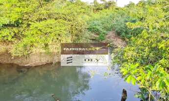 Imagem: Fazenda Extra - Região Goianésia-GO. São