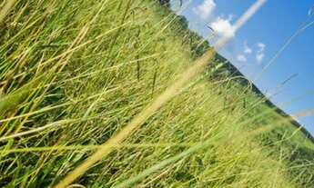 Imagem 6: Vendo terreno de 1000m² barato no interior