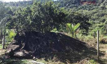 Imagem: Fazenda/Sítio/Chácara para venda tem 720000