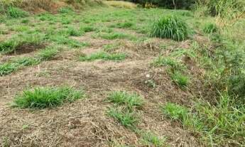 Imagem 1: Oportunidade Sorocaba 500m² Chácara