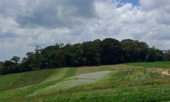Imagem 6: 03o-Venda de lotes com a maior chance de compra pra você!