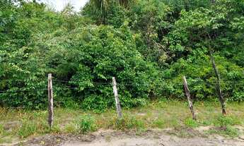 Imagem 2: Terreno Salinas - Salinópolis