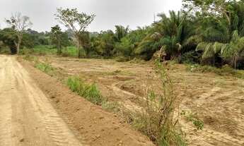 Imagem 5: Terra com escritura 30.000m²