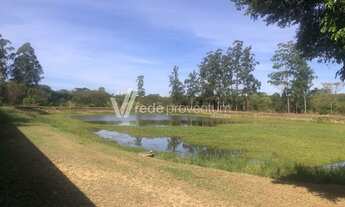 Imagem 6: área - Cidade Universitária - Campinas