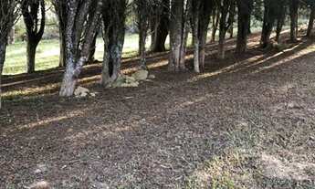 Imagem 7: Invista com lotes imperdíveis em Ibiúna - SP PM