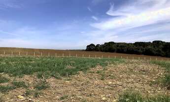 Imagem 7: Fazenda Lapa/ PR, porteira fechada, à 90 km de Curitiba, 433,18 hectares, possibilidad