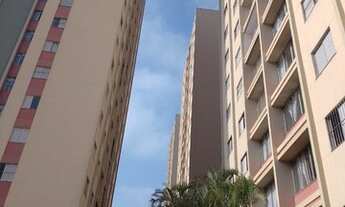 Imagem 5: Apto 3 dorms centro guarulhos