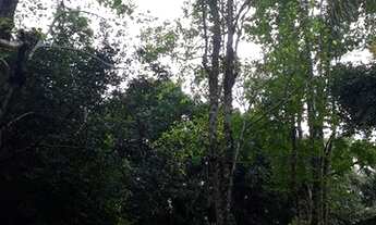 Imagem 3: Amplo terreno Com casa. Bairro Piá, Nova Petrópolis RS! REF: 84