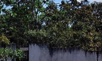 Imagem 7: Terreno alter do chão