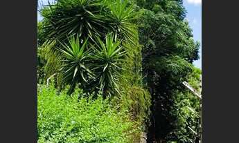 Imagem 6: Porto Alegre - Apartamento Padrão - Jardim Itu