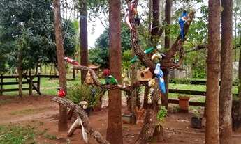 Imagem 4: Fazenda de 204 hectares. dupla aptidão