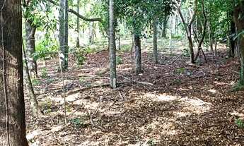 Imagem 5: Vende-se duas chácaras em Rolândia PR