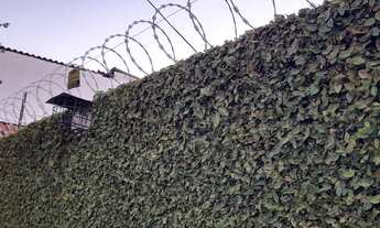 Imagem 3: CASA RESIDENCIAL em SÃO PAULO - SP, JARDIM DOM BOSCO