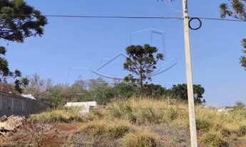 Imagem 3: Toledo - Lote/Terreno - Vila Becker