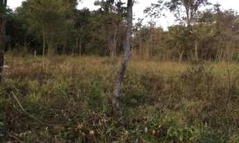 Imagem 4: Chácara em bela vista de goias