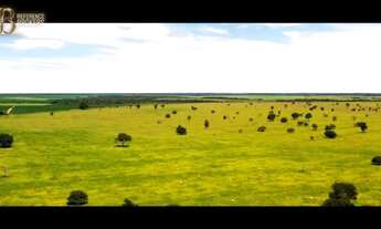 Imagem 3: Fazenda Agropecuária - Porteira Fechada - Mato Grosso