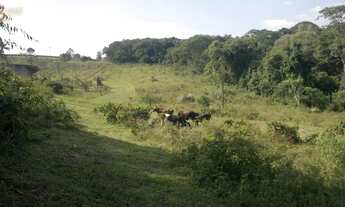 Imagem 5: Excelente área em Cotia