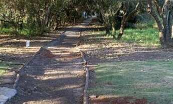 Imagem 7: Casa a Venda no Cond Reserva Santa Maria, com 560m2