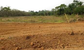 Imagem 1: Terra com escritura 30.000m²